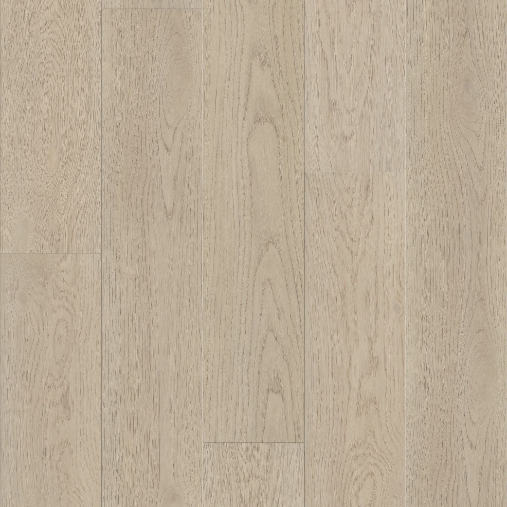 Shell Taupe swatch