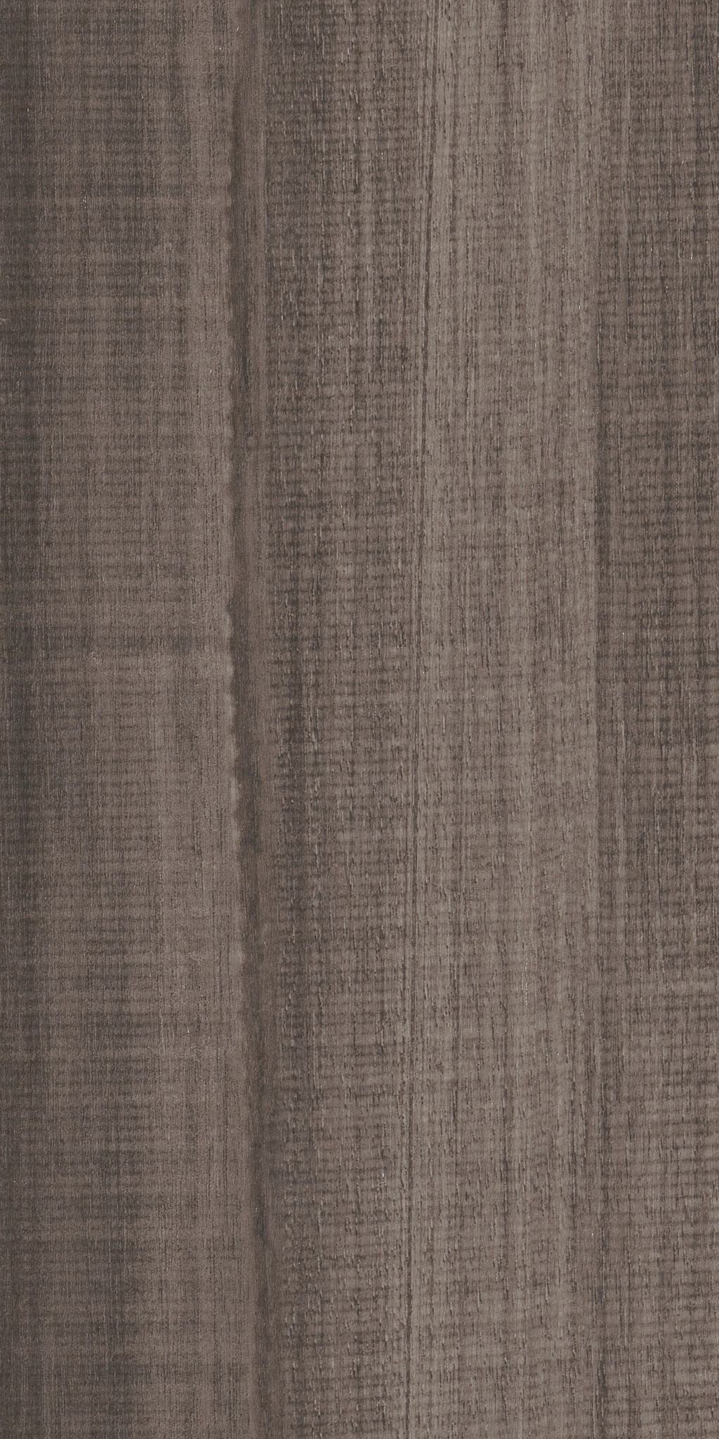 Bronzite, laid flat, seen from above