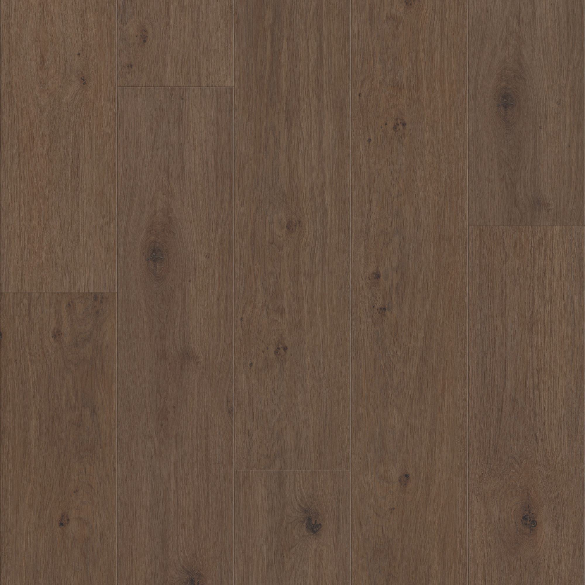 Tuxedo Bronze swatch