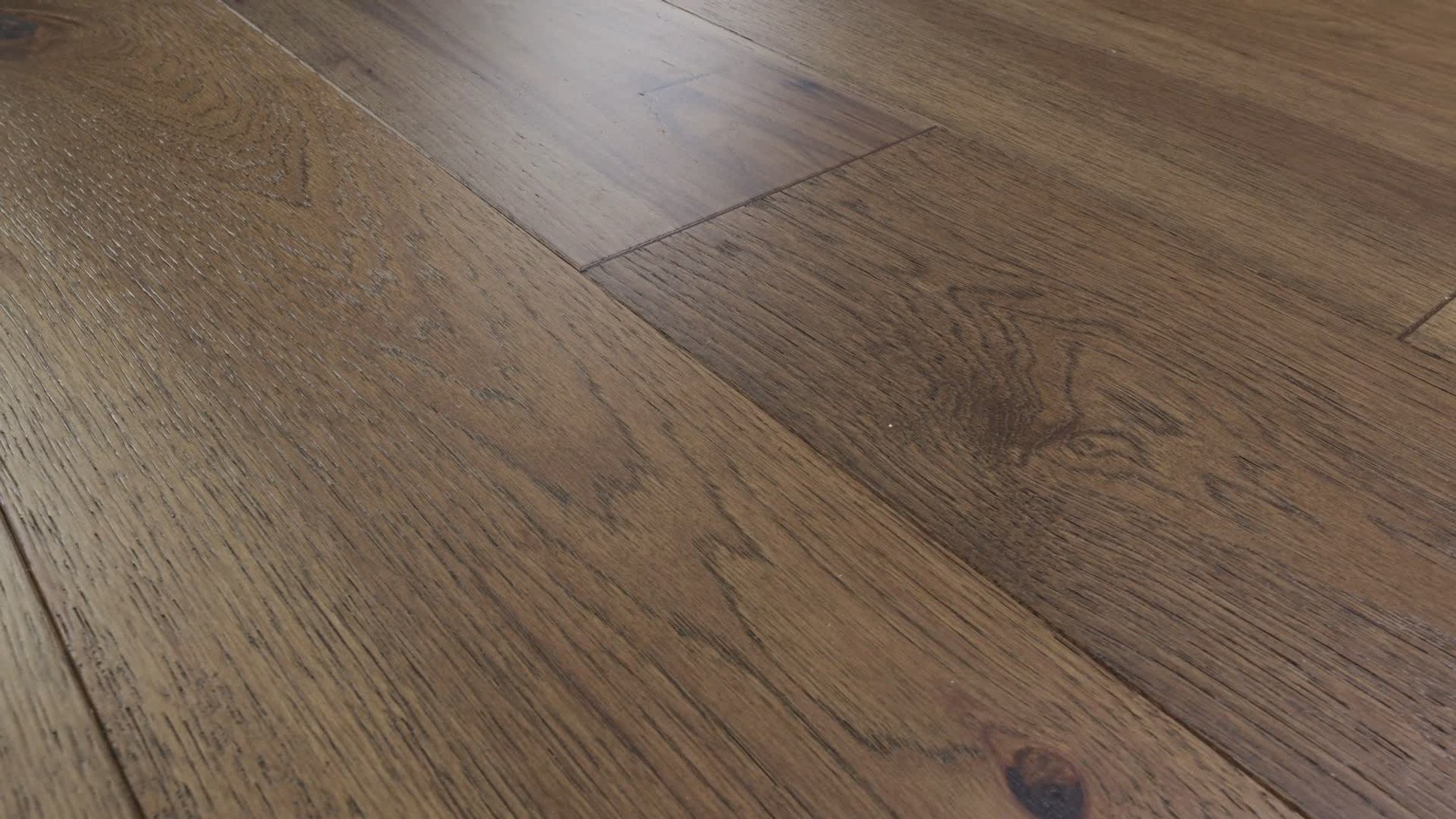 Romanesque, the manufacturer's 360 video