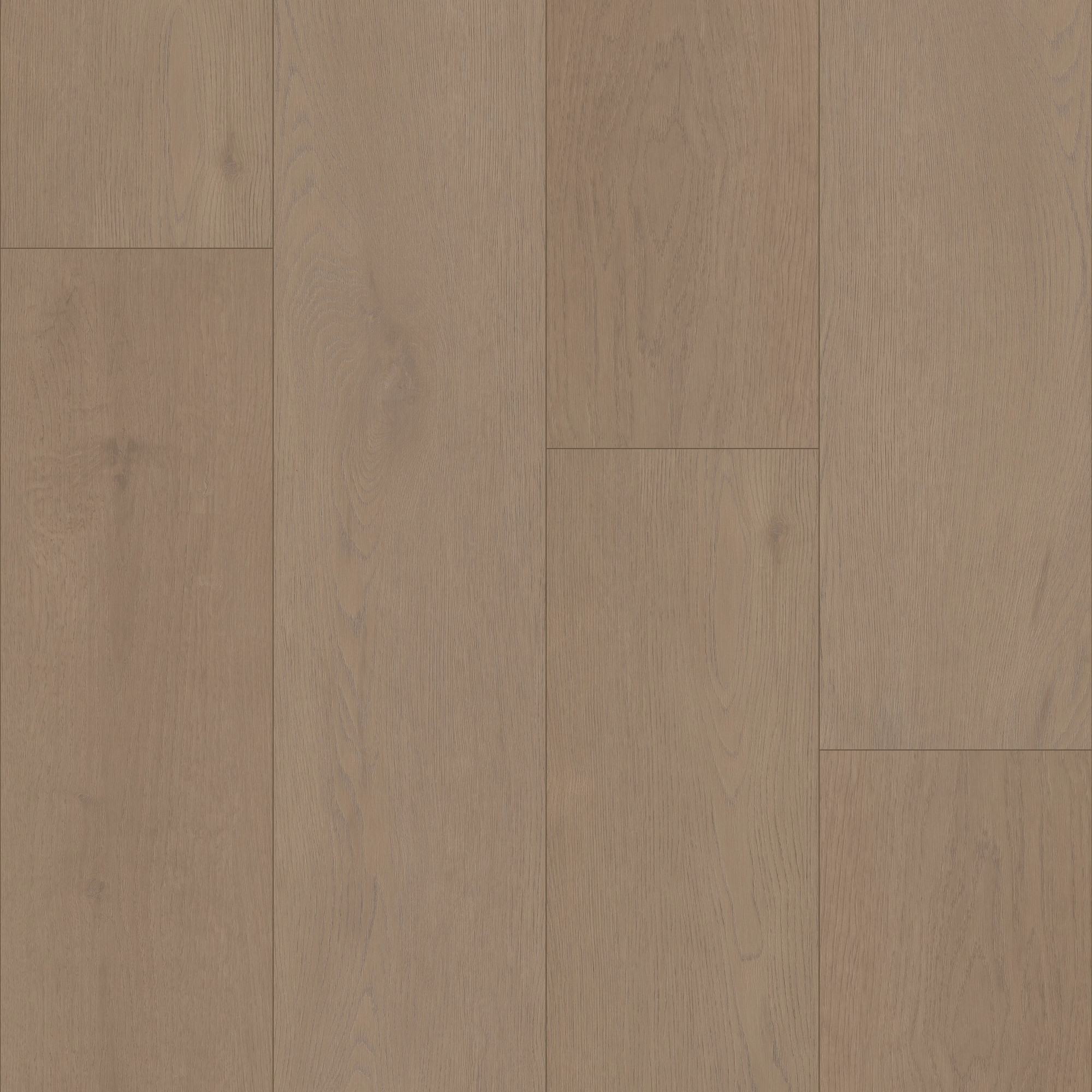 Saddle Brown swatch