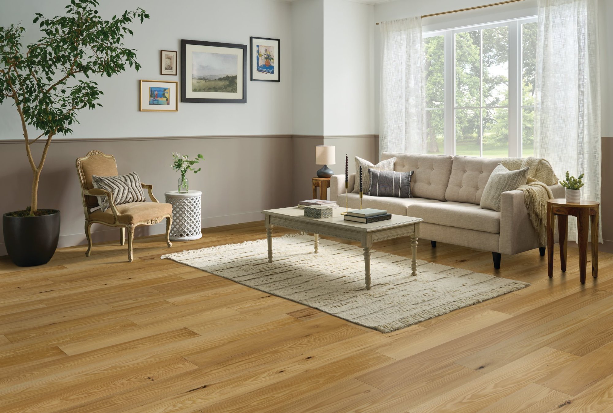 Native Pine flooring, shown in a room