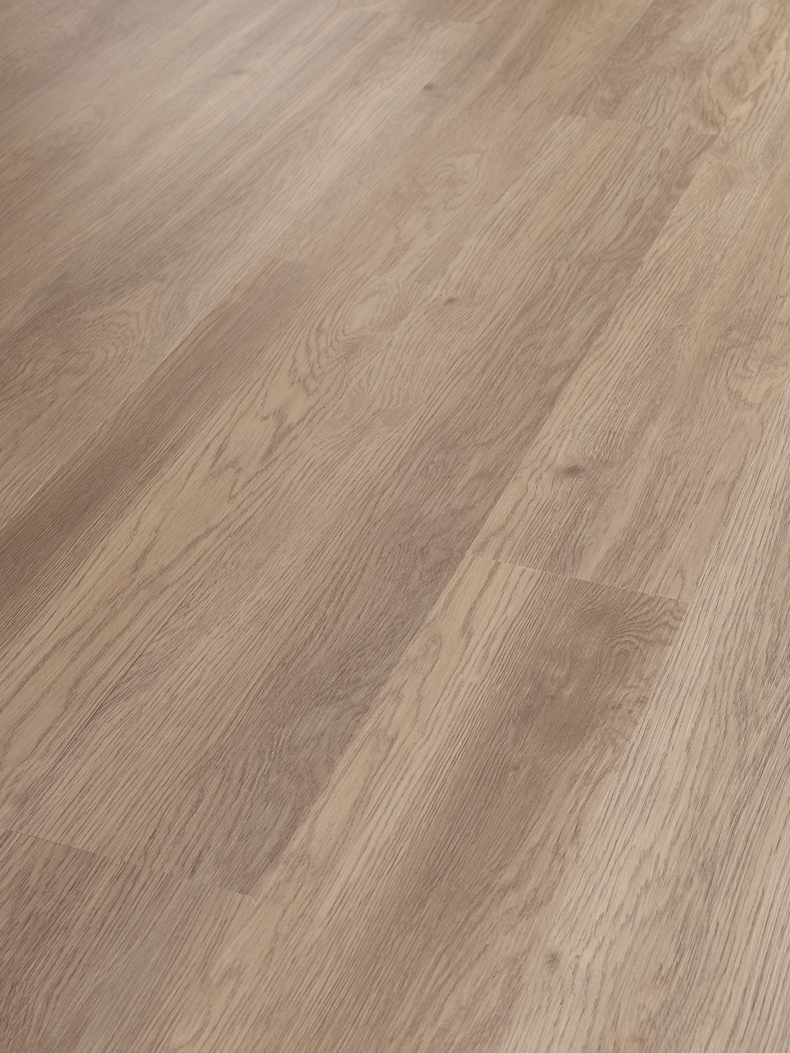 Mesa Oak, seen at an angle