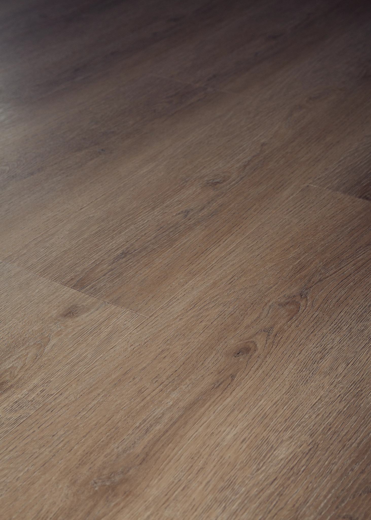 Foxbury Oak swatch