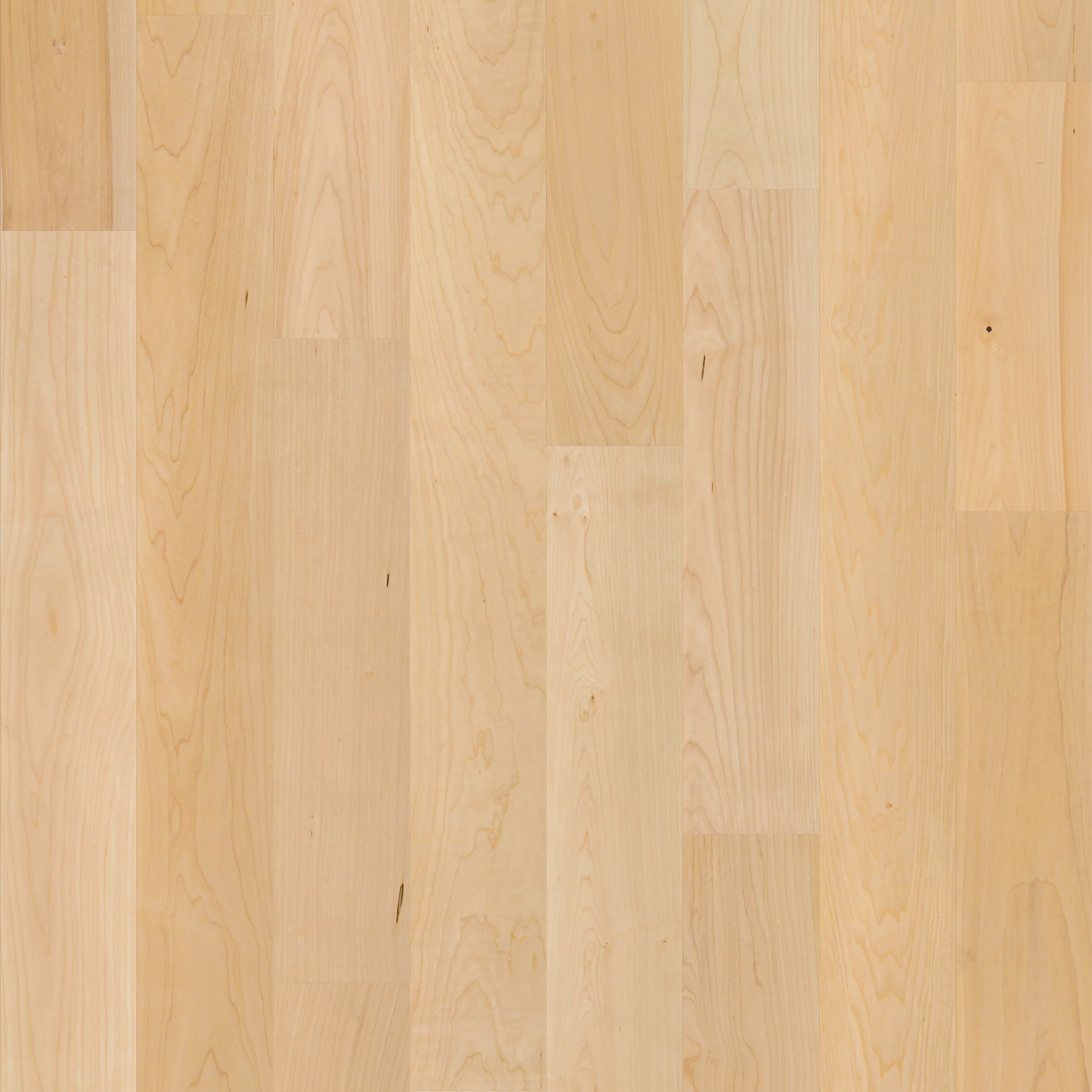 Natural Hard Maple, laid flat, seen from above