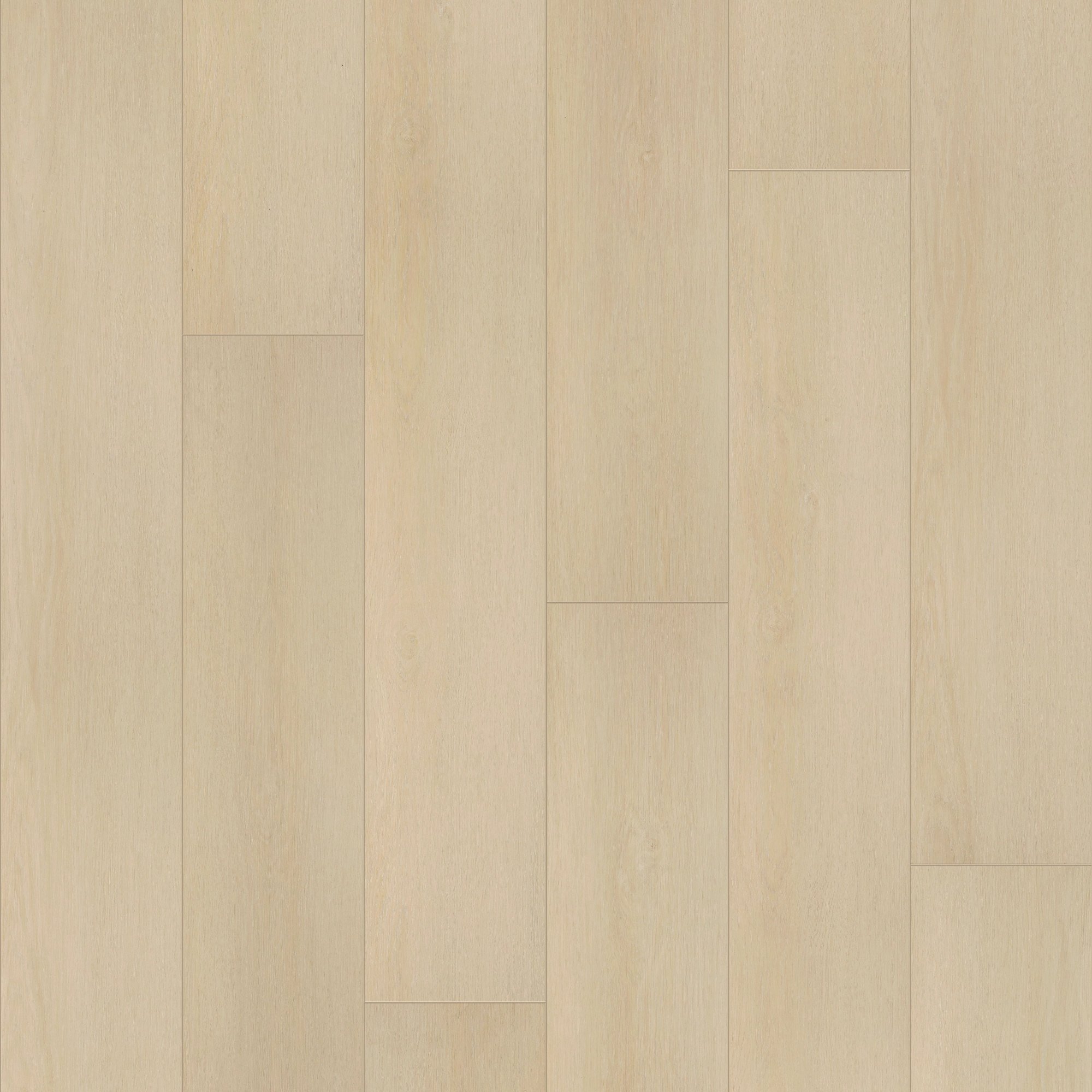Champagne Mist Oak swatch