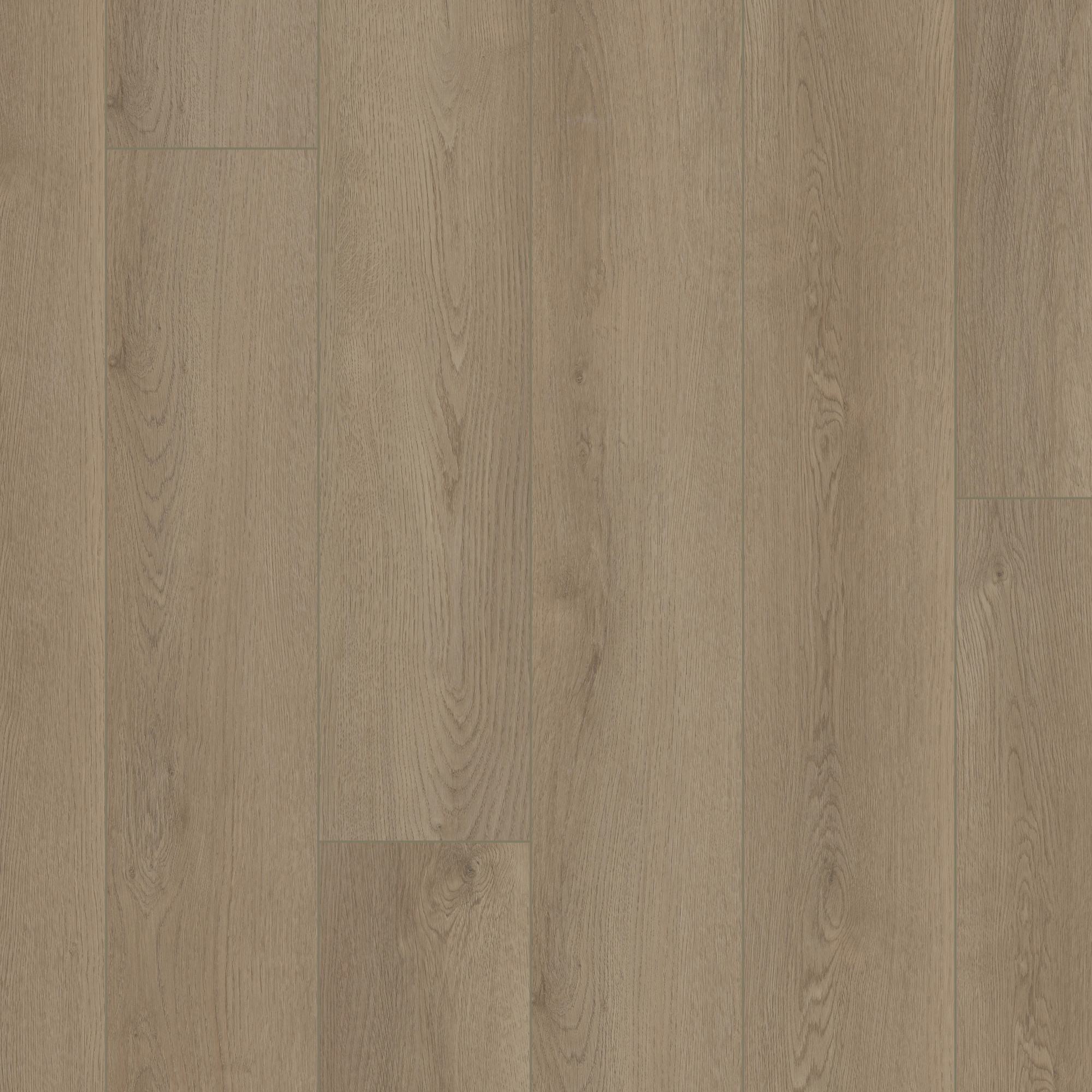 Driftwood Taupe swatch