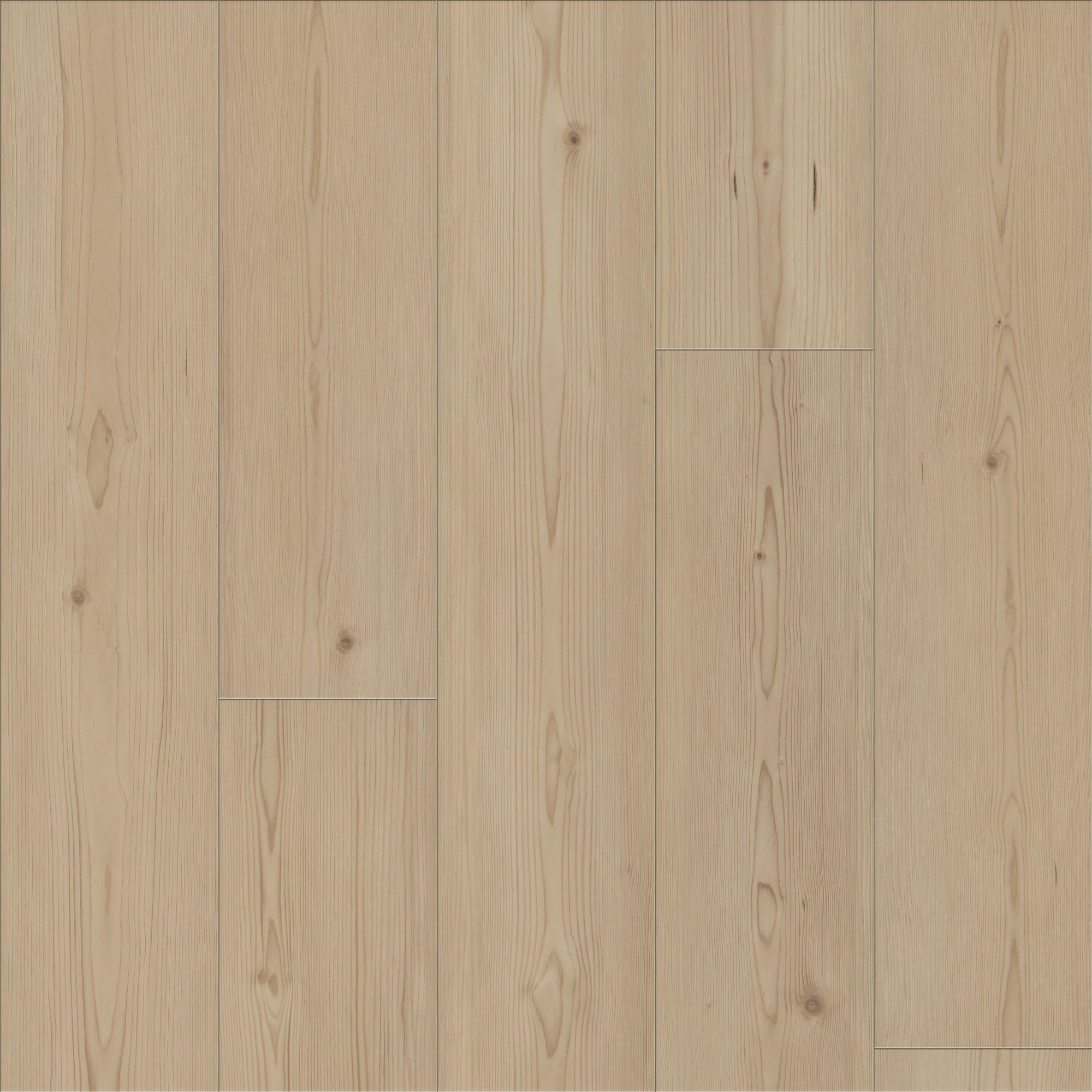 Vanilla Pine, laid flat, seen from above