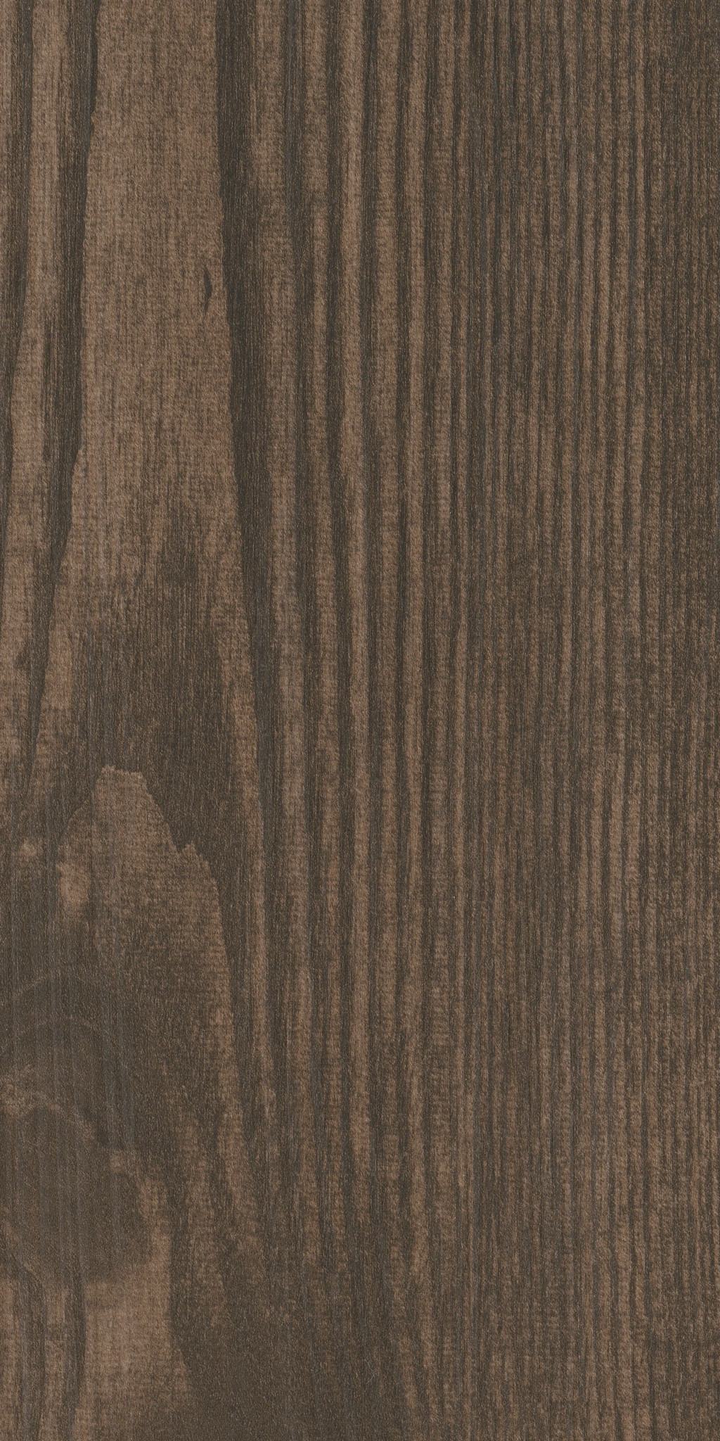 Sweetgum, laid flat, seen from above