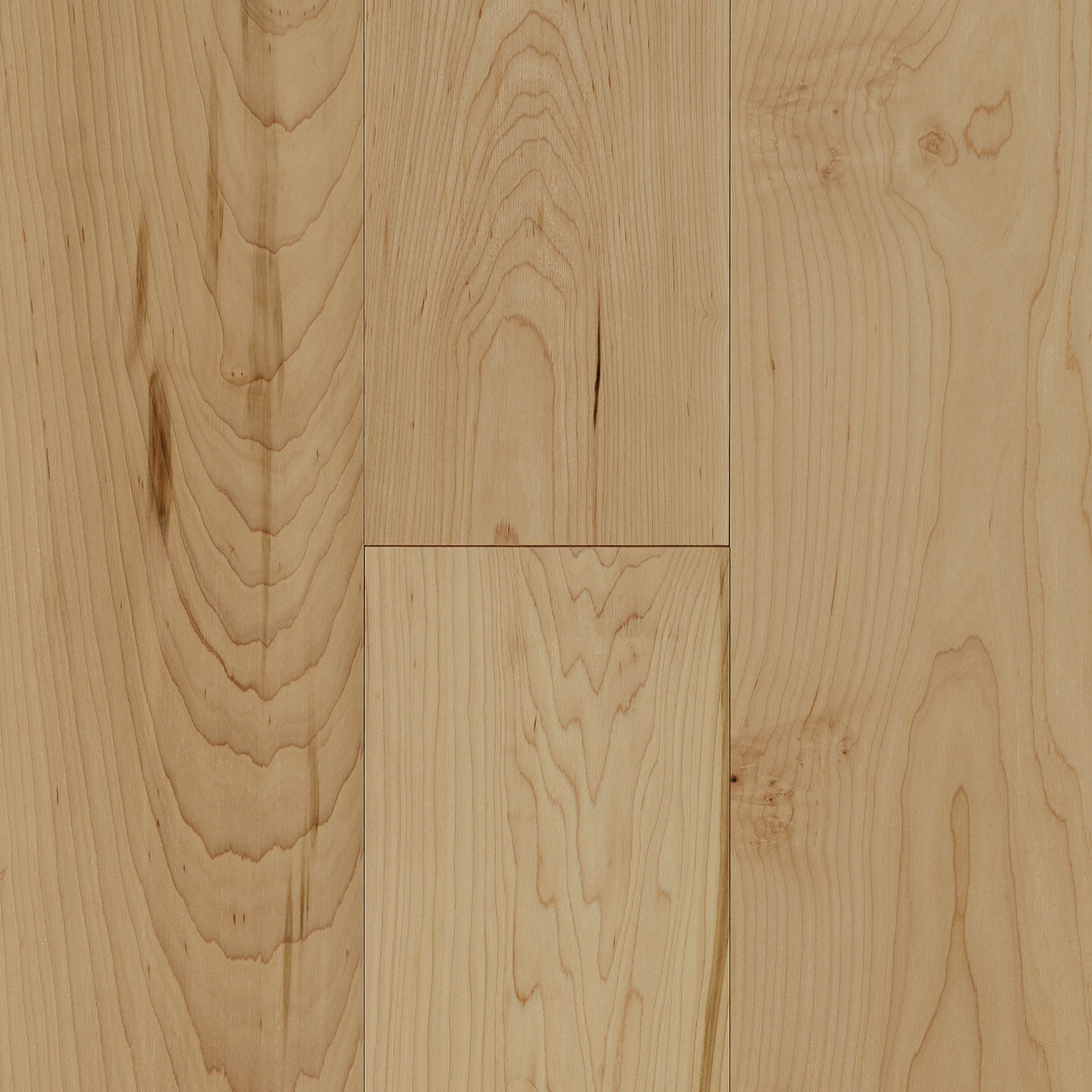 White Maple swatch