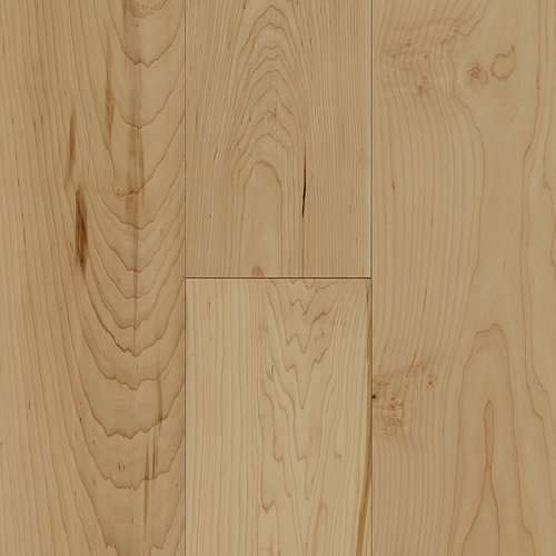 White Maple