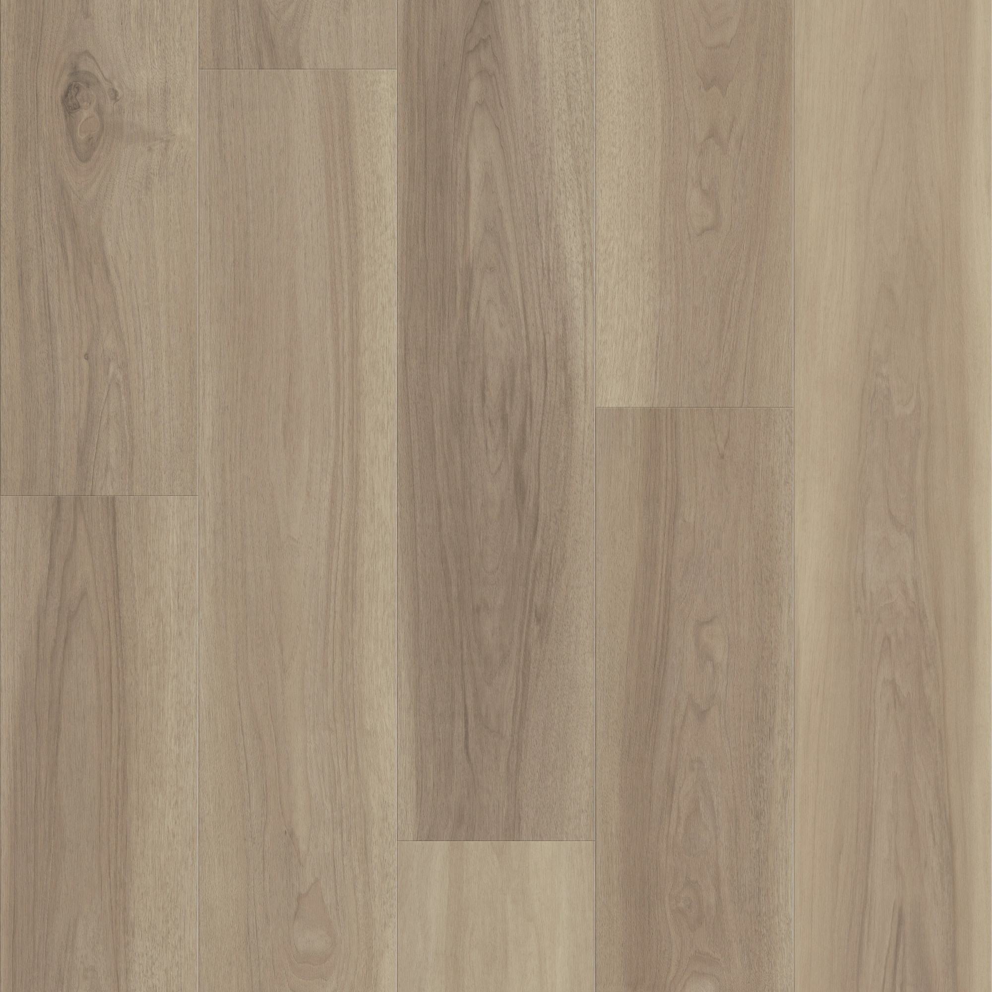 Lounge Greige swatch