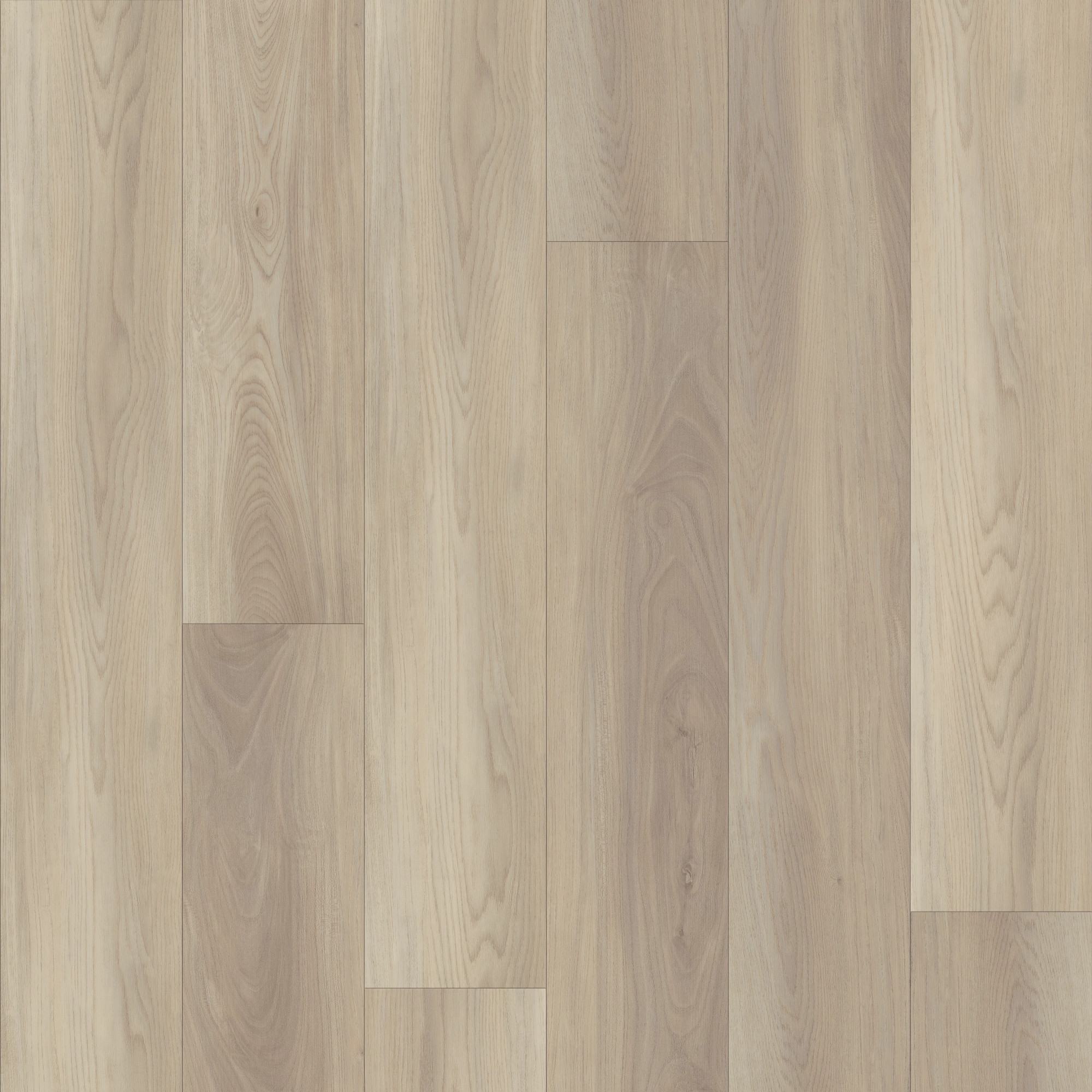 Vanilla, laid flat, seen from above
