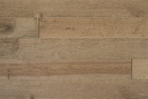 Cambium