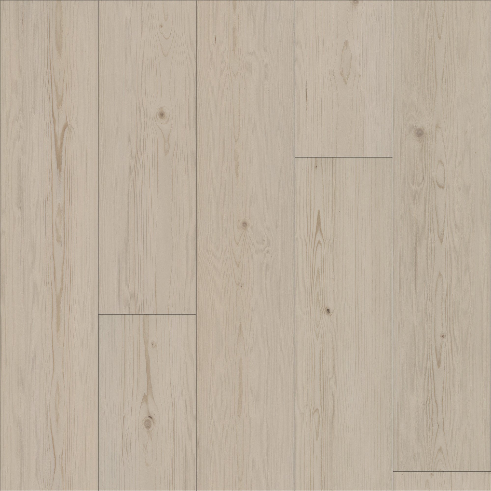 Cloud Pine, laid flat, seen from above