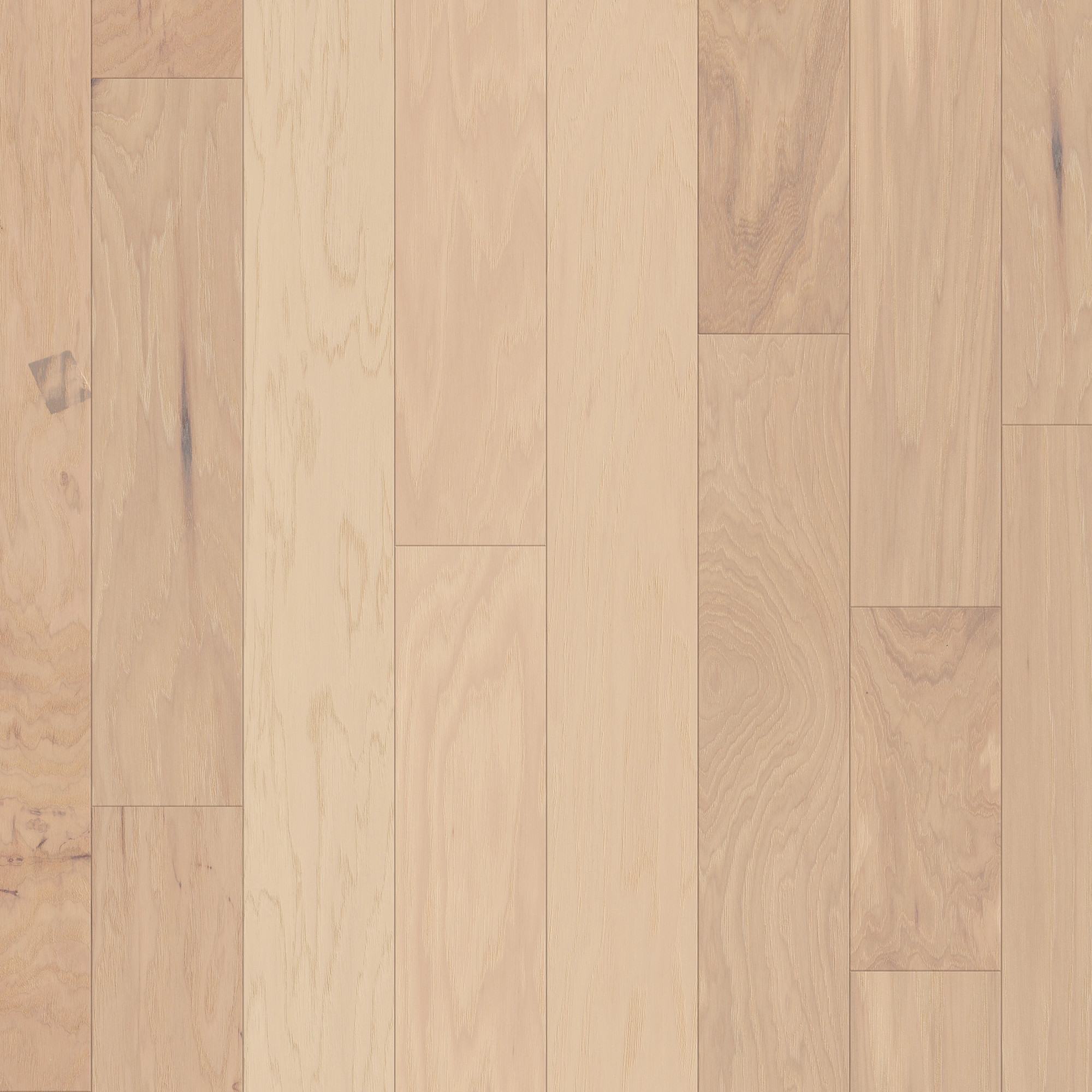 Canopy swatch