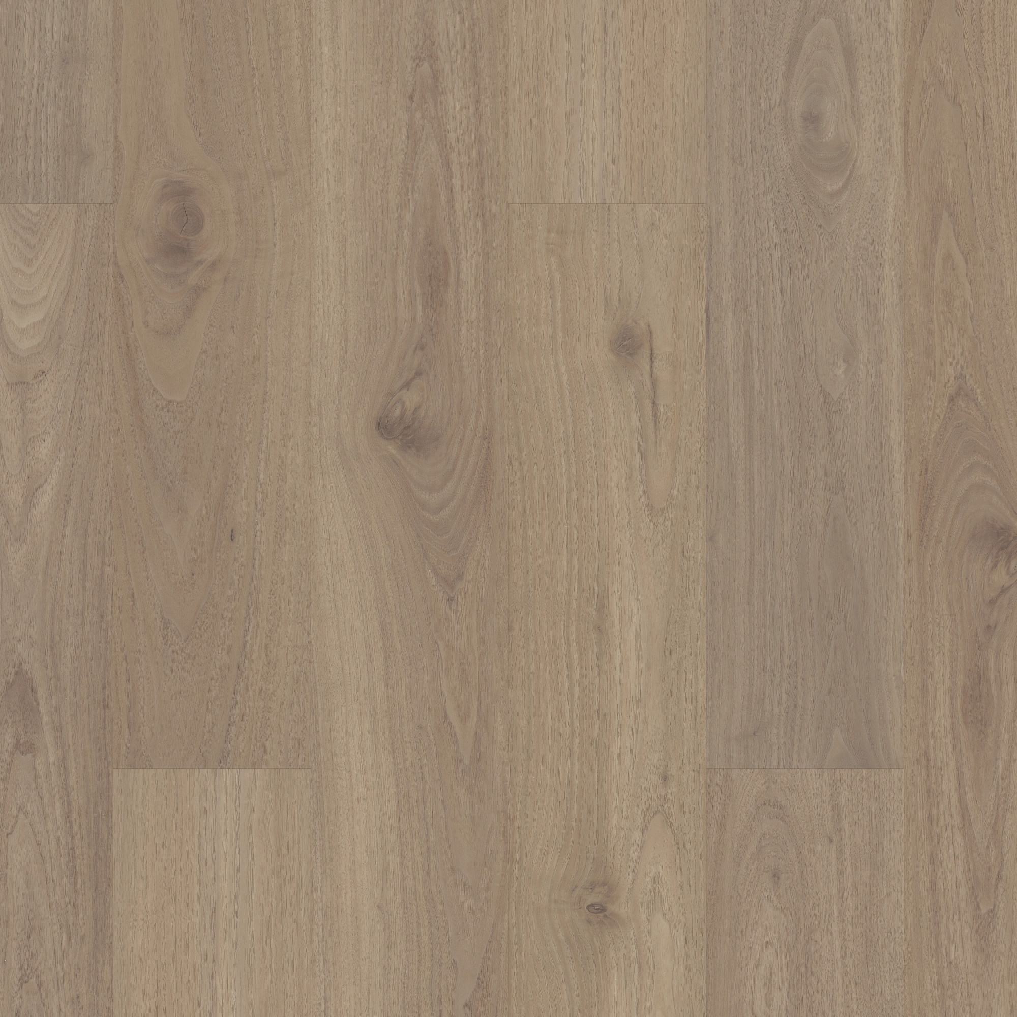 Aver Walnut swatch