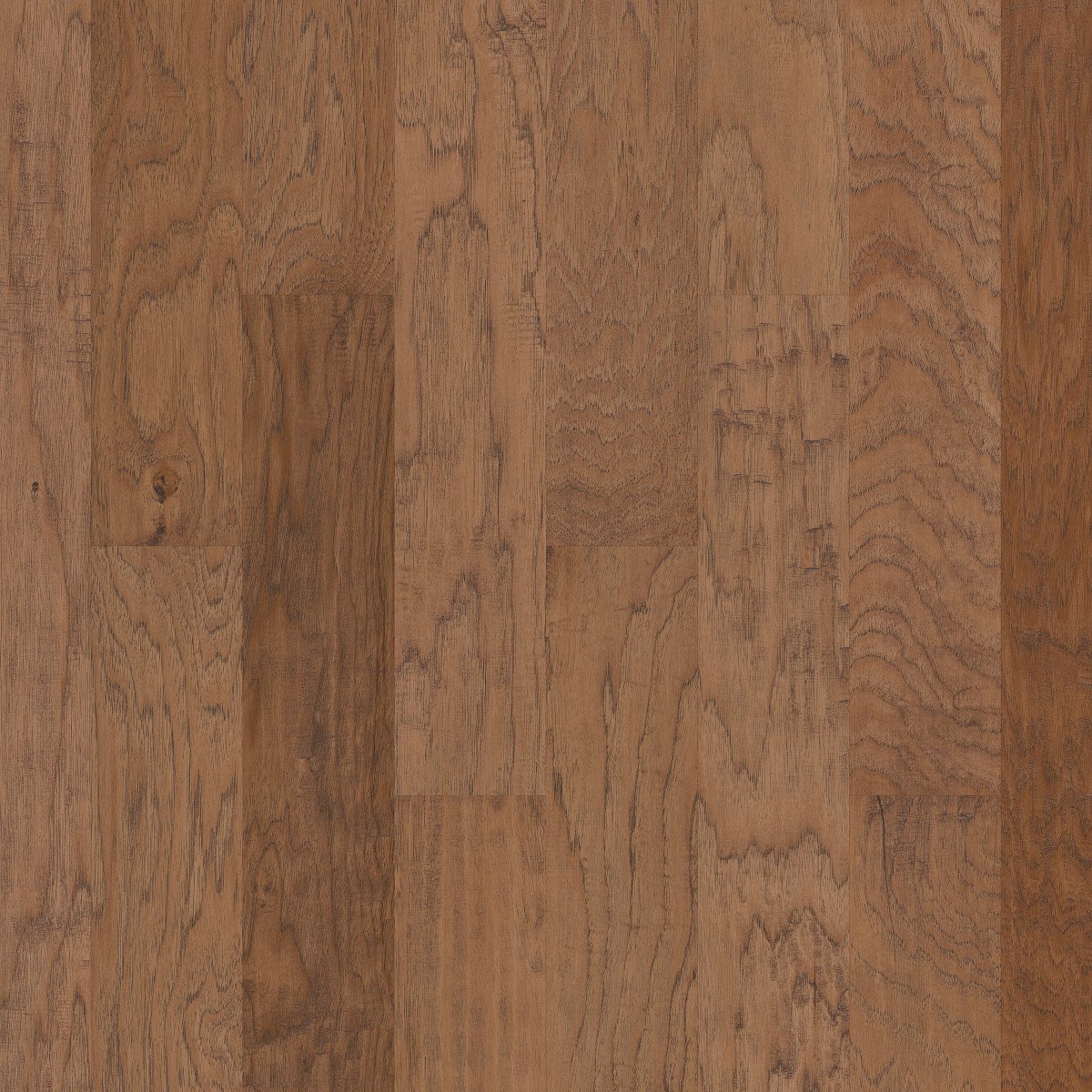 Bravo, Pebble Hill Hickory 5