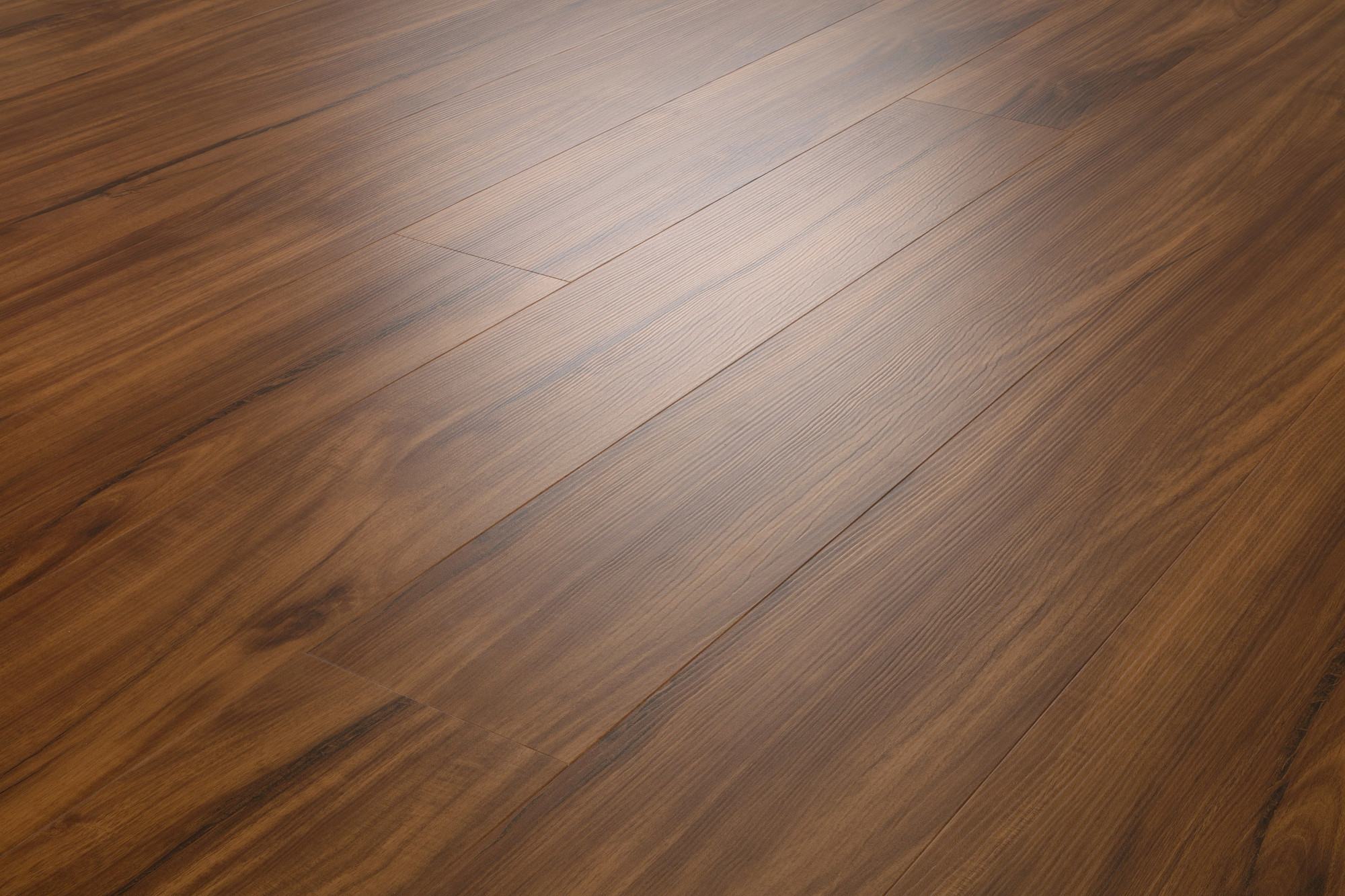 Gold Coast Acacia swatch