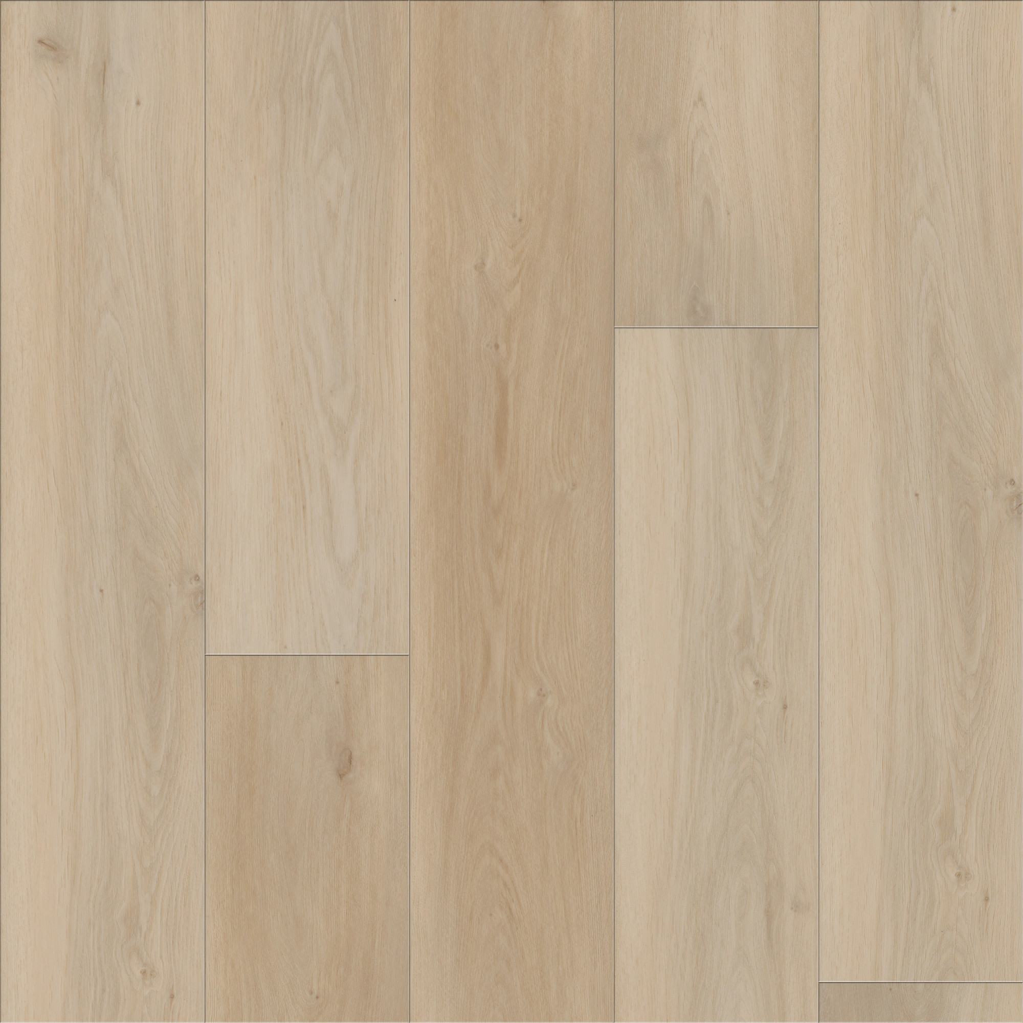 Cyril Oak, laid flat, seen from above
