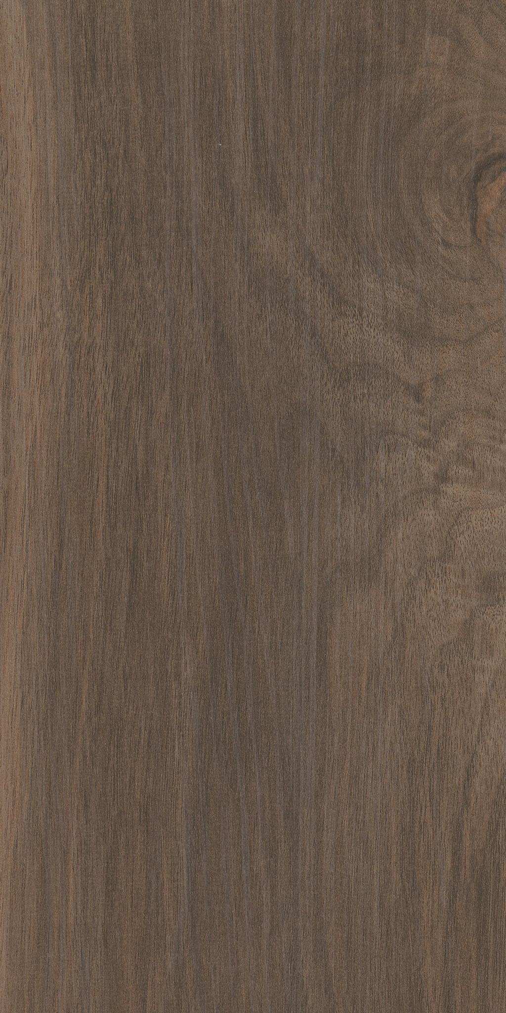 Terra, laid flat, seen from above