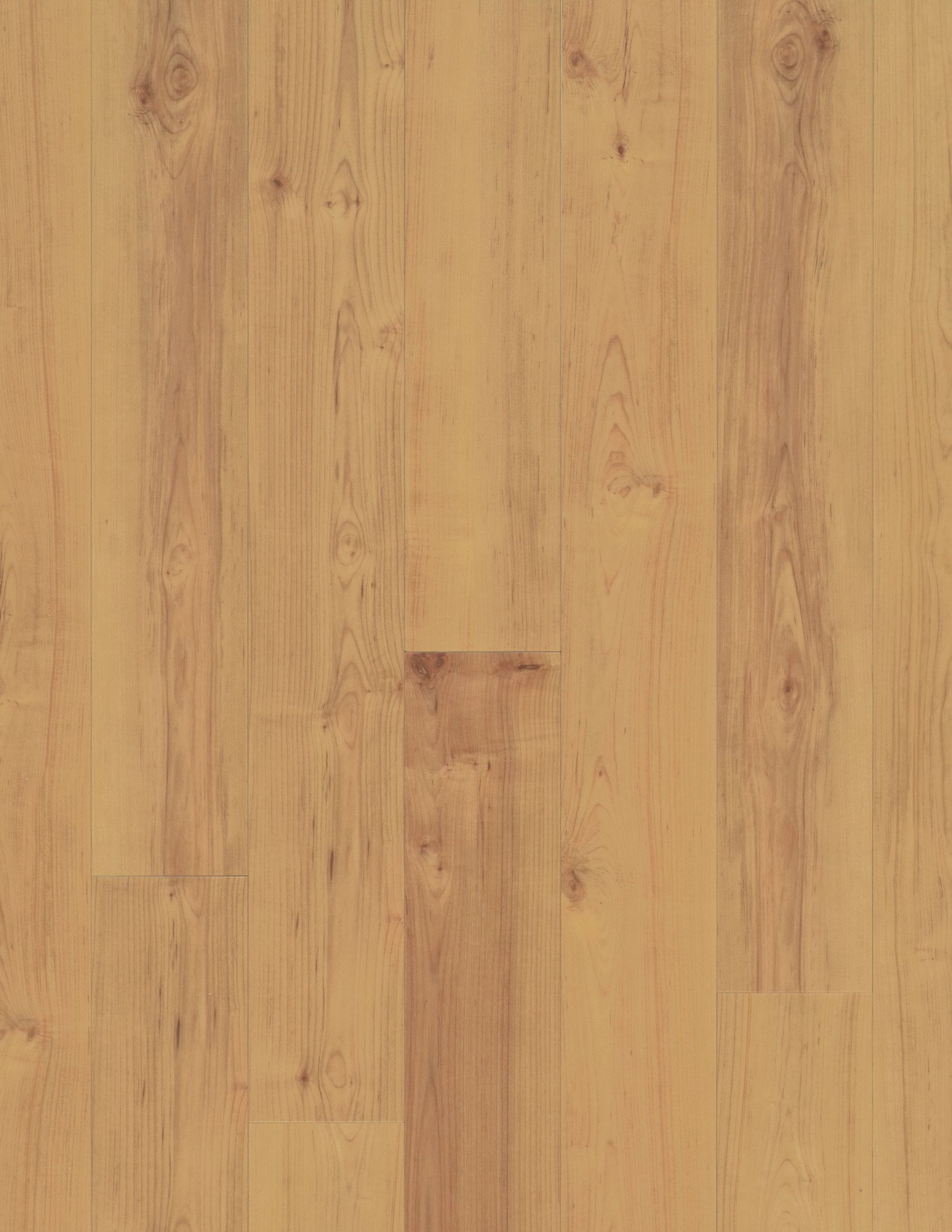 Norwegian Maple swatch
