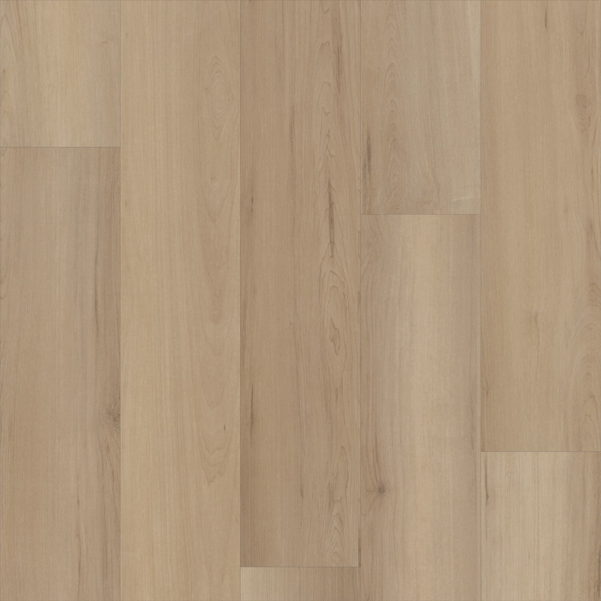 Woodbury Maple, laid flat, seen from above