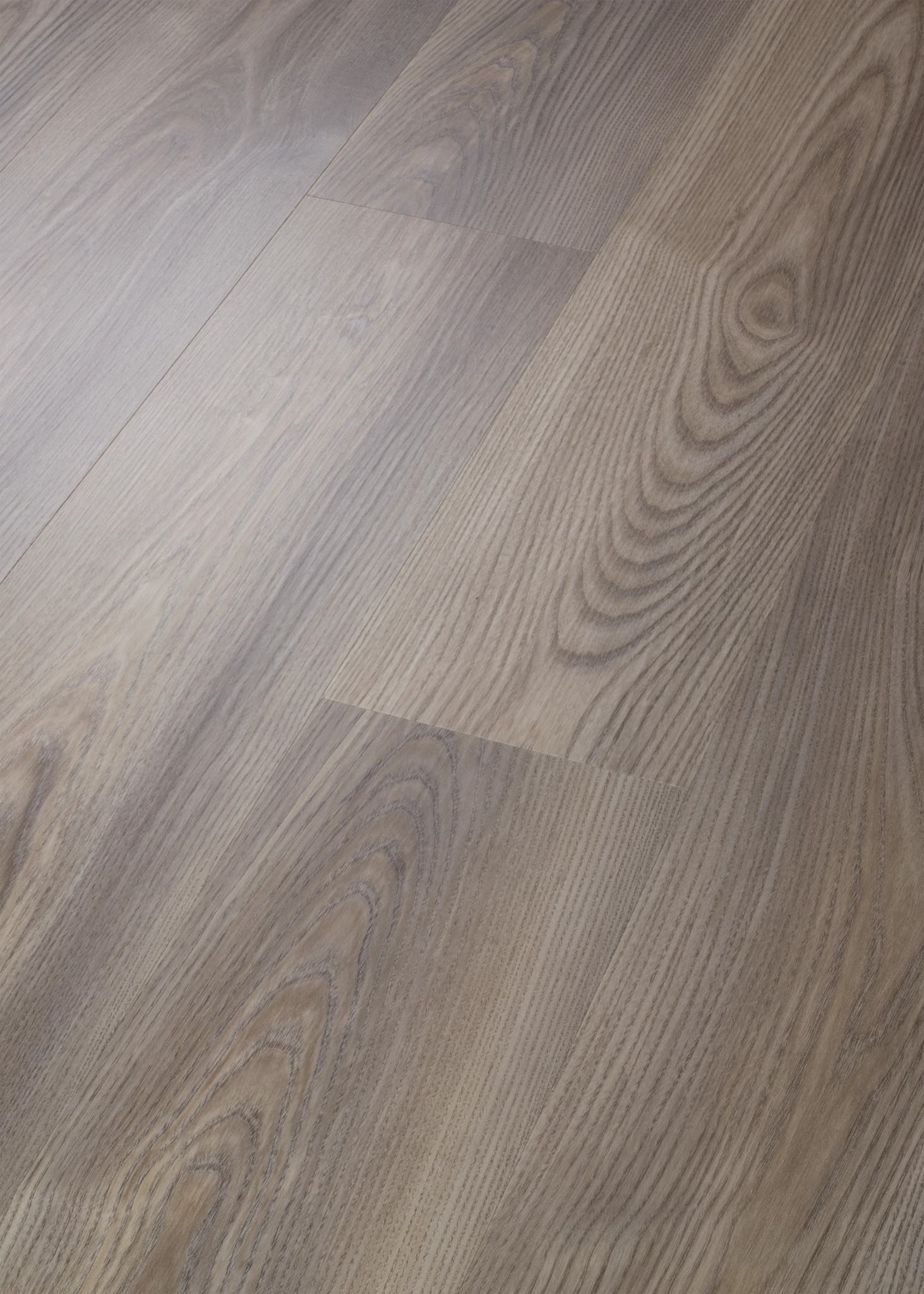 Grey Chestnut, seen at an angle