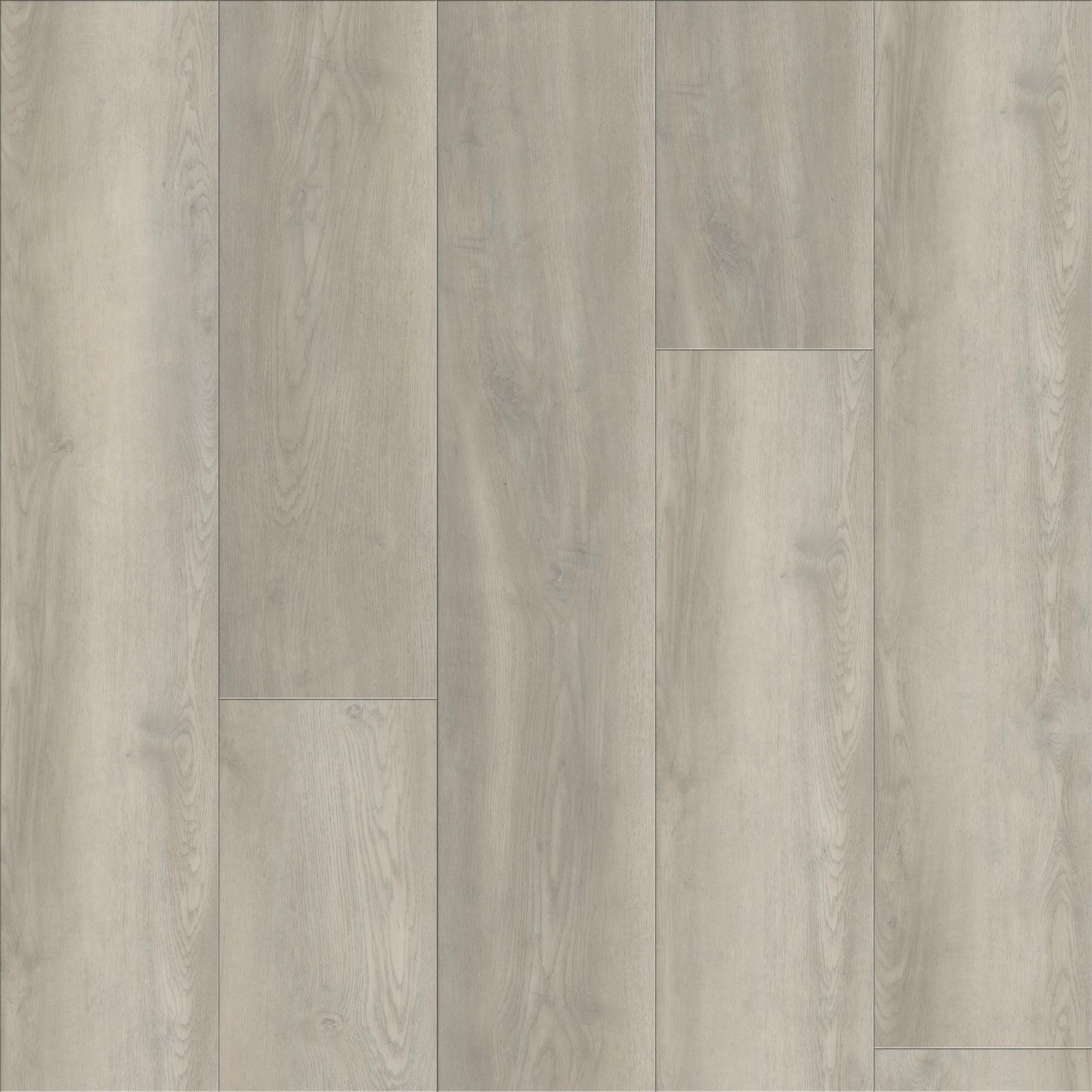 Opulence Oak, laid flat, seen from above