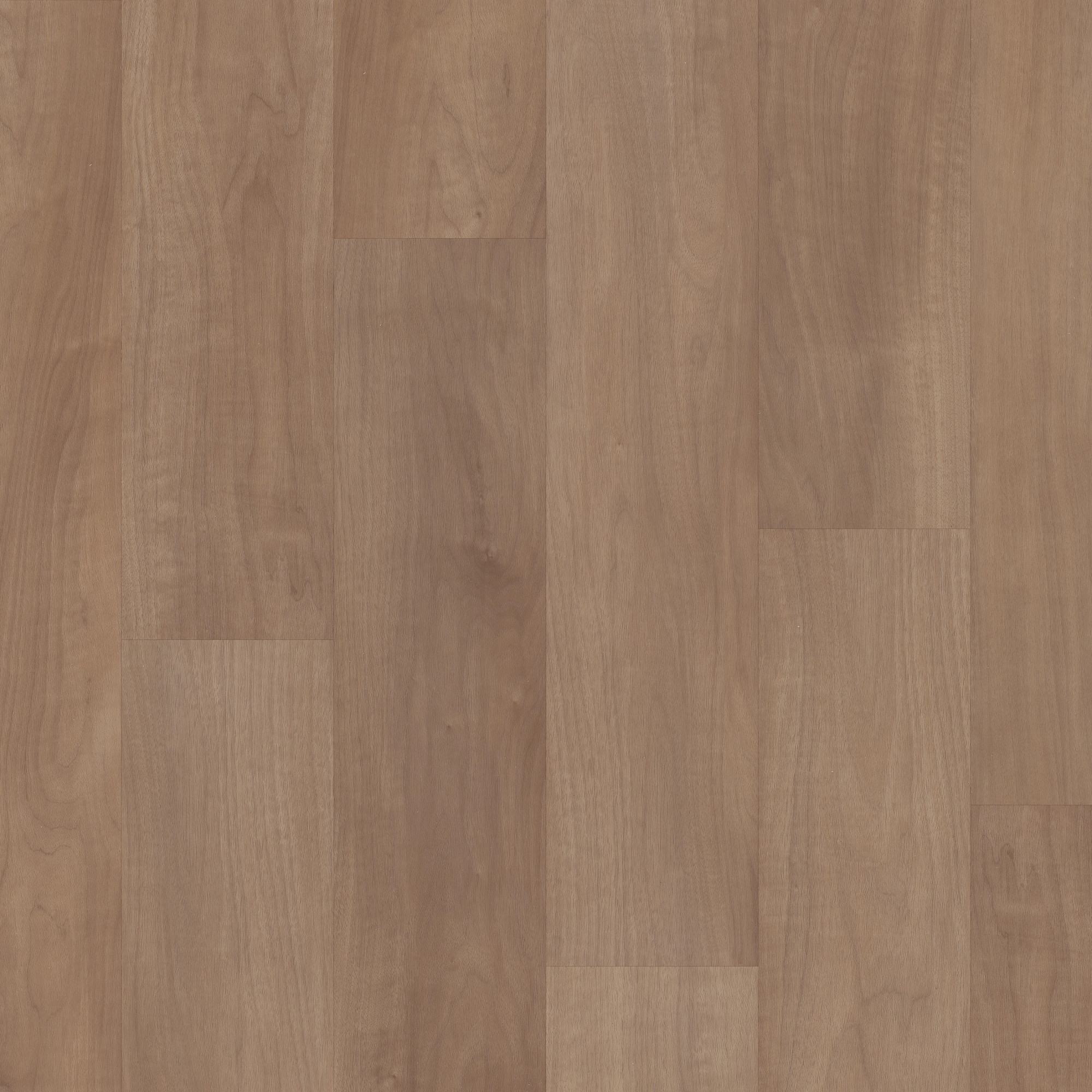 Tawny Beech swatch
