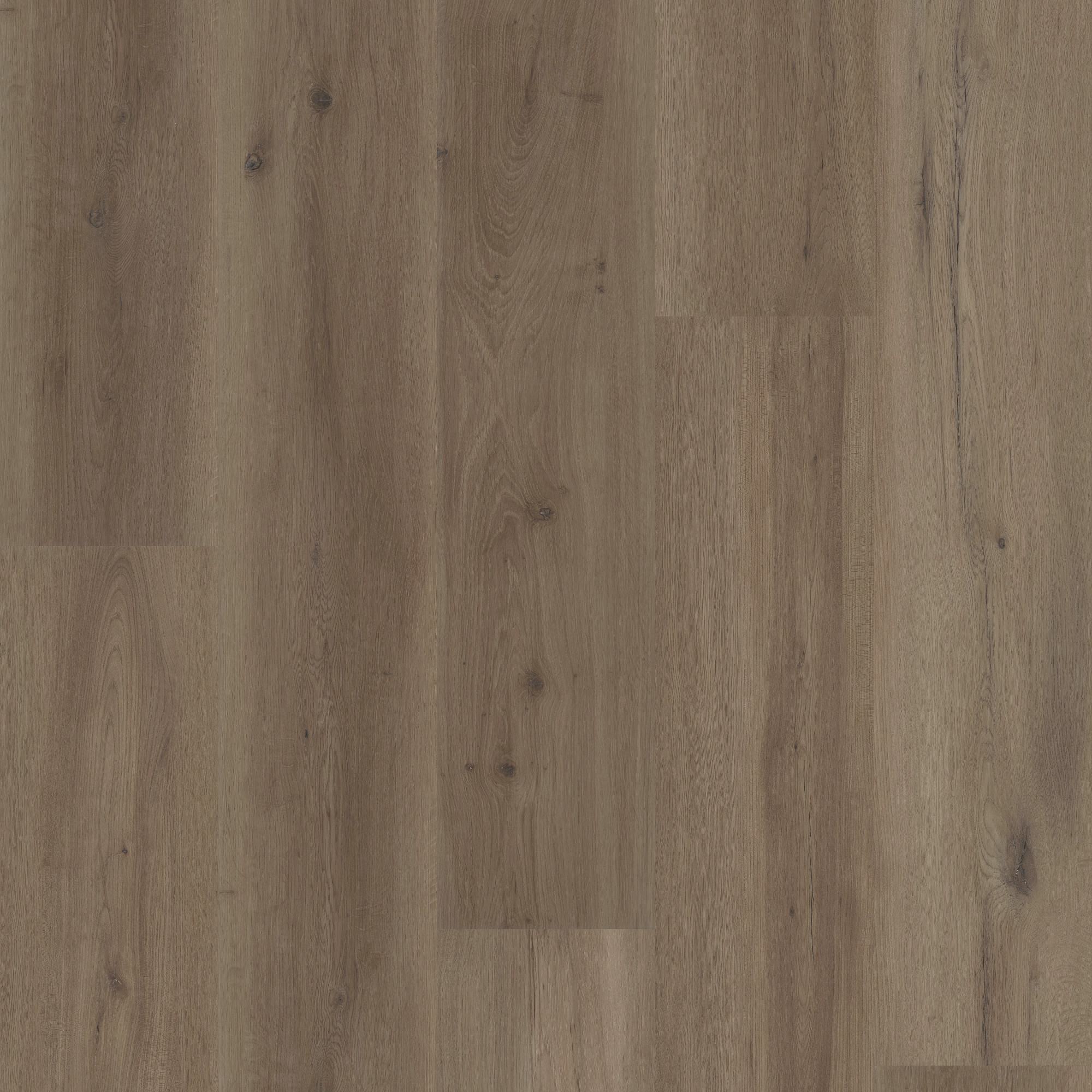 Mist Oak swatch