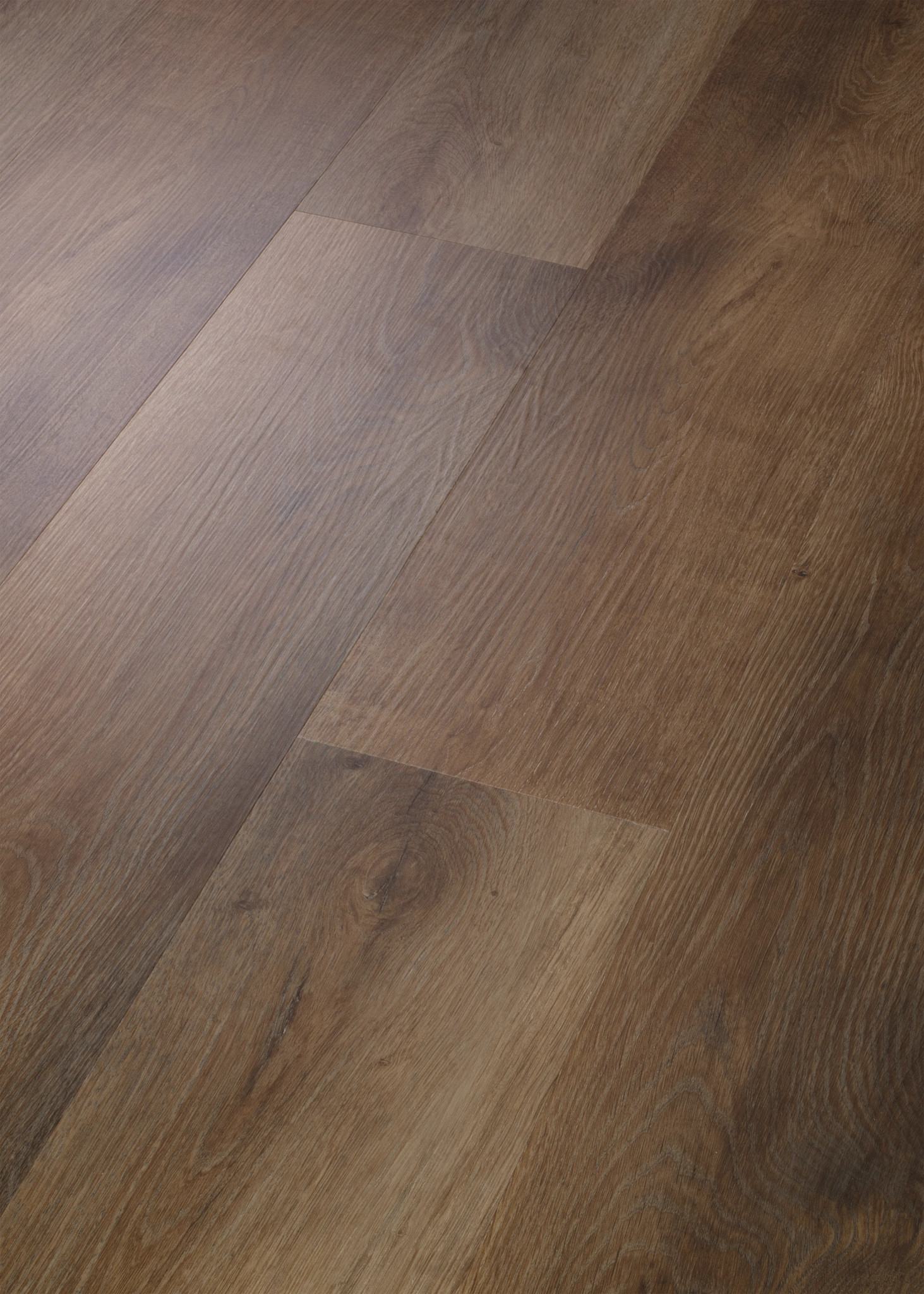 Highlight Oak, seen at an angle